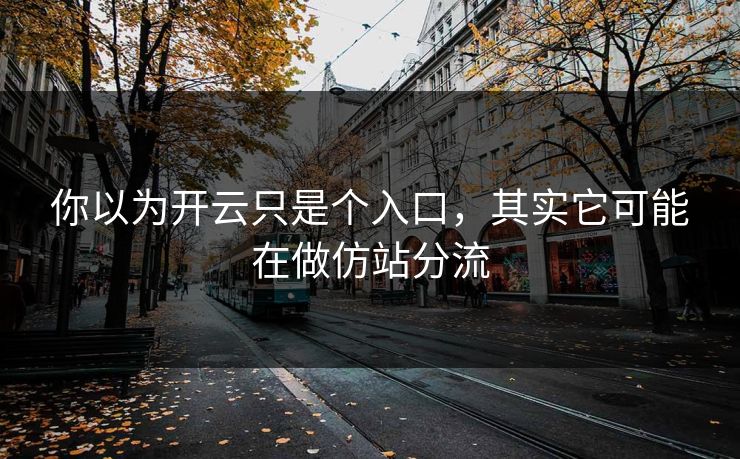 你以为开云只是个入口，其实它可能在做仿站分流