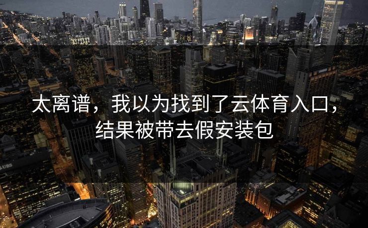 太离谱，我以为找到了云体育入口，结果被带去假安装包