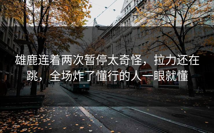 雄鹿连着两次暂停太奇怪，拉力还在跳，全场炸了懂行的人一眼就懂